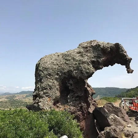 Magnifique Neuve En Bord De * Sassari