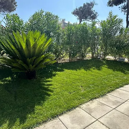 Magnifique Neuve En Bord De * Sassari