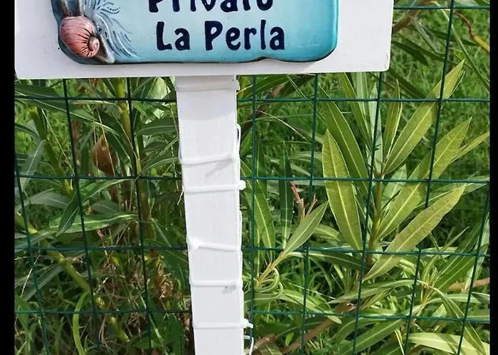 Magnifique Neuve En Bord De