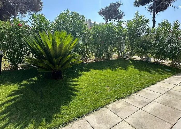 Magnifique Neuve En Bord De * Sassari